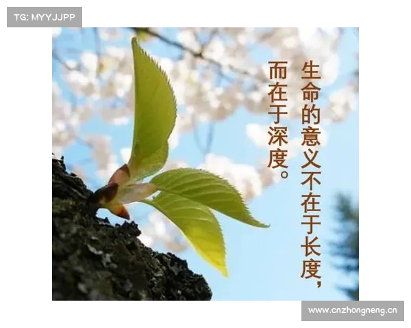 悔恨之心与抉择的回响:一份令人深思的生命清单 悔恨之心与抉择的回响:一份令人深思的生命清单